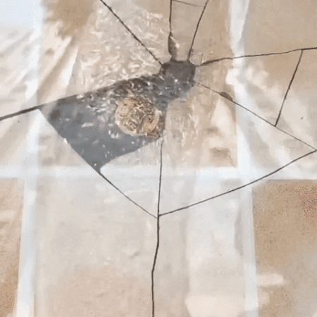 Sellador Transparente Pro.